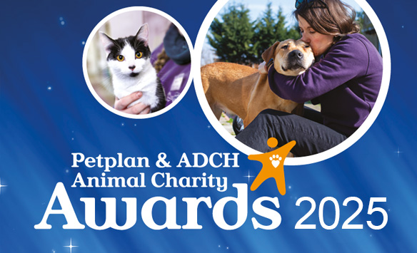 Animal Charity Awards 2025 banner