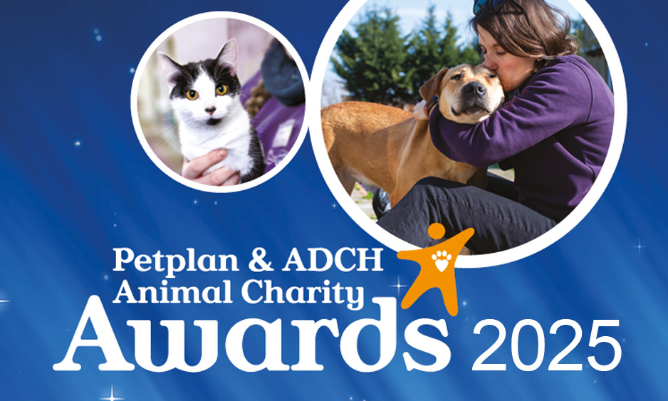 Animal Charity Awards 2025 banner